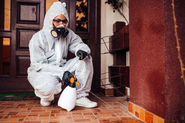 Reliable Termite Control contractor in Waimalu, HI by Nex Pest Control