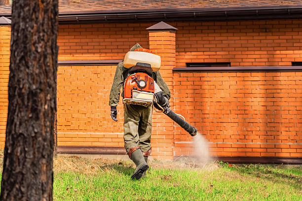 Trusted Termite Control service in Waimalu, HI - Nex Pest Control
